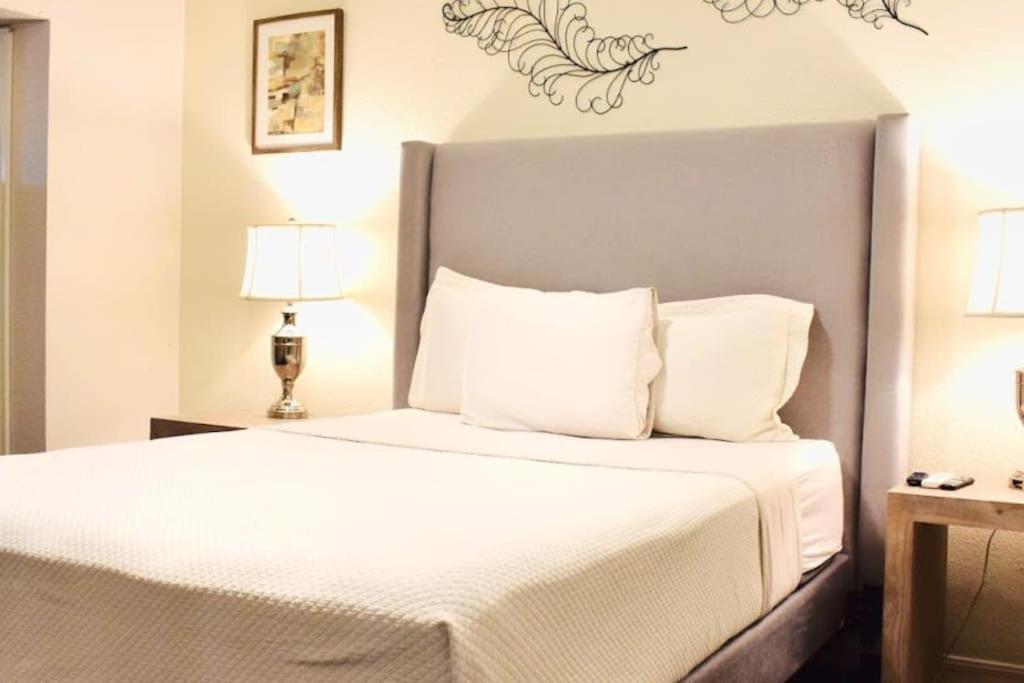 Montrose Pied-A-Terre Apartments Walking Distance To Museums Χιούστον Εξωτερικό φωτογραφία